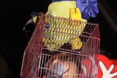 IMG_2331